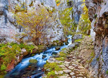 Foces de El Pino - Foces de Ruayer
