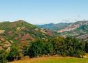 Asturian mountain scenery with green trees and clear blue sky