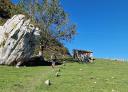 Hiker walking through a meadow next to a small stone building in a sunny mountain landscape.
