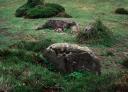 Moss-covered stone monoliths in a lush green field