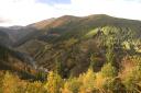 Panoramic views of a forest-covered mountain valley in autumn tones