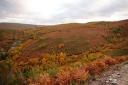 Vast mountain landscape with reddish autumn vegetation and dramatic skies