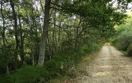 Ruta por el entorno de Grandas