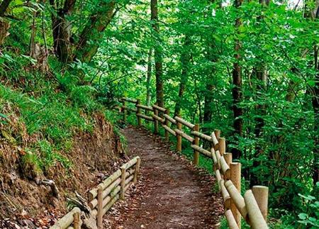 Imagen Foyoso Greenway