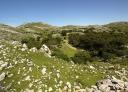 Paisaje montañoso con vegetación dispersa y cielo despejado