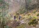 A group of hikers walk along a very overgrown trail in the mountains.