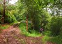Hiker on a leafy wooded path on the Asturian Way of St James