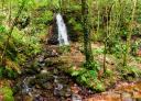 Waterfall on the river Nonaya surrounded by vegetation and rocks