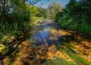 Panoramic view of a meandering river surrounded by autumn forest.