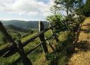 A wooden fence-lined path runs through a hilly and green landscape.