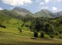 A panoramic view of a vast green valley with distant mountains, serene scenery