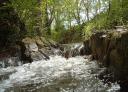 Rushing river with small waterfalls and moss-covered rocks