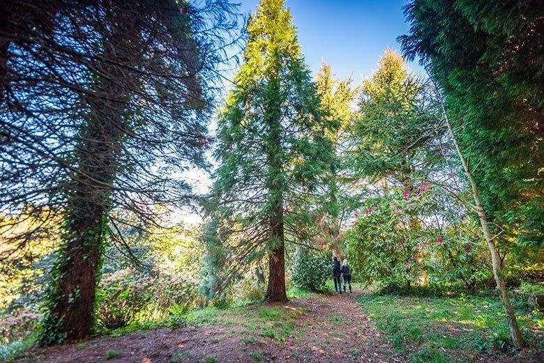 Foto eines Paares, das einen Weg in den Gärten von Fonte Baxa in der Gemeinde Valdés entlanggeht.