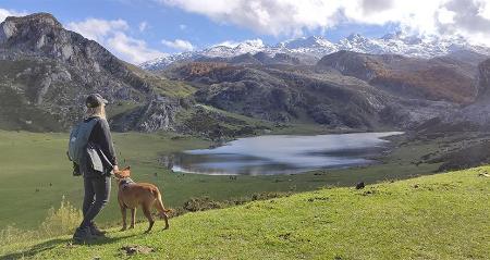 Imagen Cultural visits with your dog in Asturias