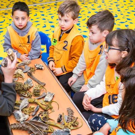 Excava y descubre. Taller infantil en Colunga