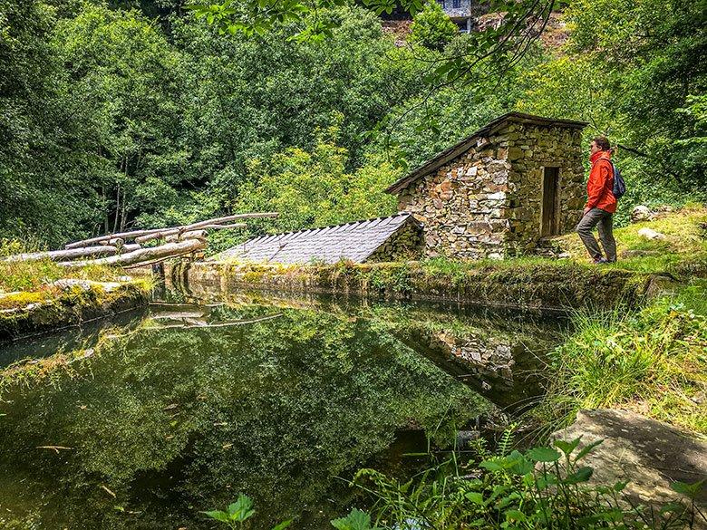 Imagem de Pomar de Las Montañas (Cangas del Narcea)