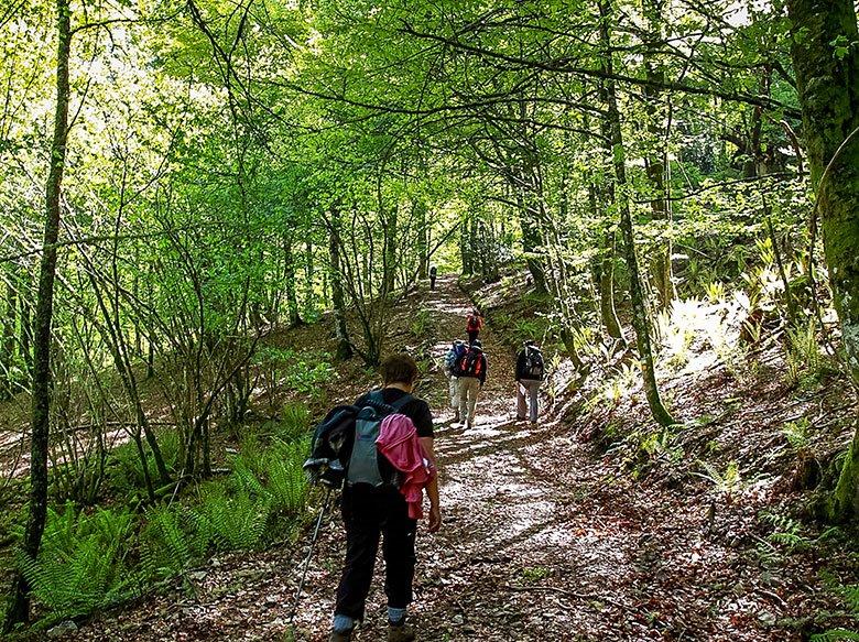 Bild von Mual (Cangas del Narcea)