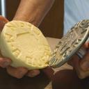 Imagem Concurso de Queijo Quesu Casín em Caso