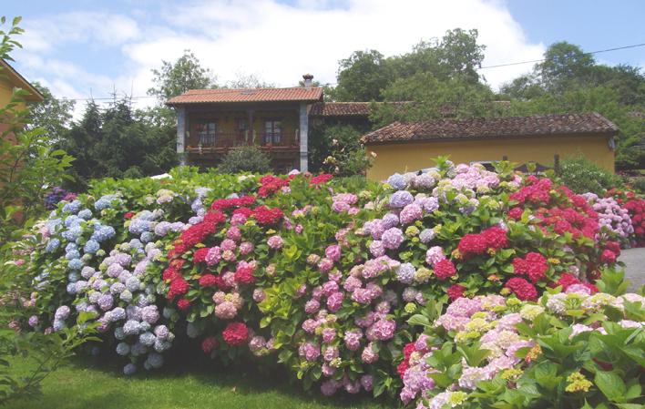 Vai a Immagine Caserío de San Pedro II