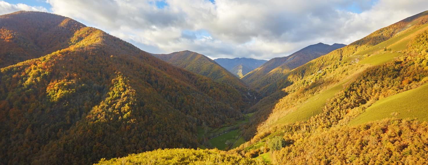 Panoramablick auf das Moal-Tal vom Aussichtspunkt Pico Luis, mit Hängen und Wäldern in Grüntönen, gemischt mit Gelb- und Goldtönen, unter einem teilweise bewölkten Himmel.