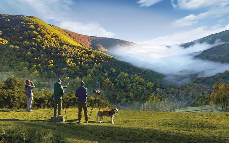 Drei Ökotouristen mit professionellen Kameras und Stativen blicken auf eine vegetationsbedeckte Berglandschaft; einer von ihnen beobachtet mit einem Fernglas, während ein roter Husky-Hund ruhig neben ihm steht. Im Hintergrund erstrecken sich grüne Berge mit Nebelbänken zwischen den Tälern unter einem teilweise wolkenlosen Himmel.