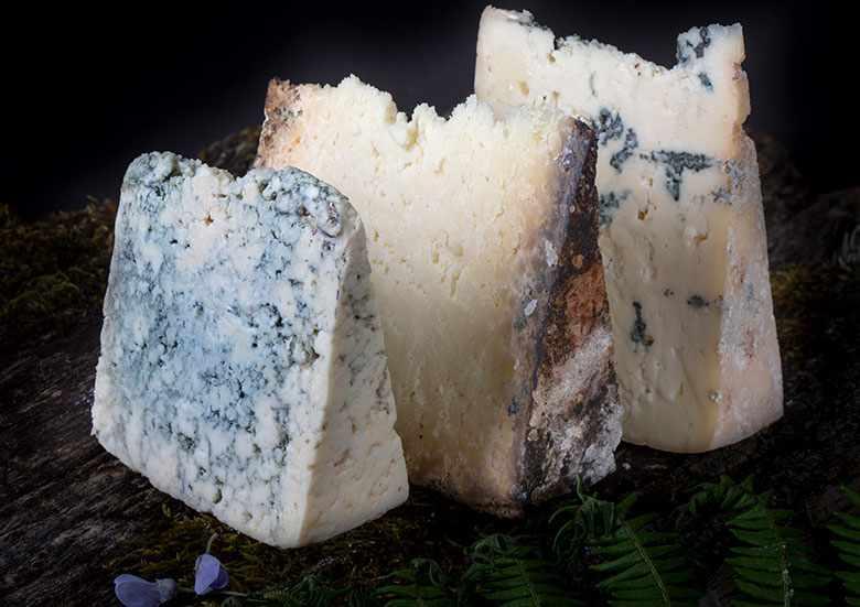 Photo of artisan cheeses from the Picos de Europa region.