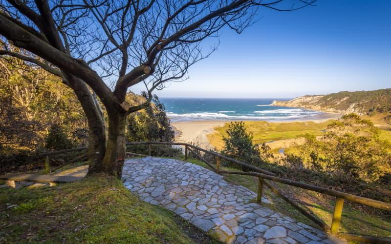 Sendero empedrado con barandilla de madera que desciende entre árboles hacia la Playa de Barayo. Al fondo se observa la franja de arena, la mar abierta con oleaje y los acantilados que enmarcan la ensenada, bajo un cielo despejado.