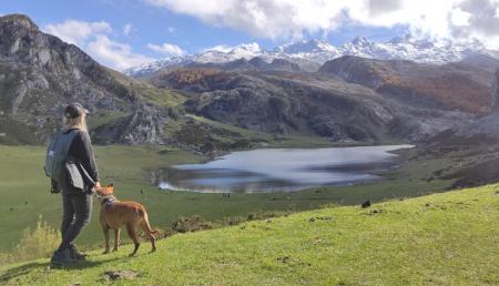 Imagen Cultural visits with your dog in Asturias