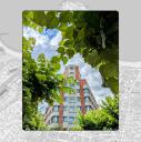 Imagen Xixón verde
