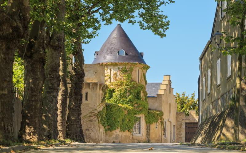 Façade du palais Figueras ou Pardo Donlebún, à Castropol, avec une tour circulaire couverte de lierre et entourée d'arbres et de bâtiments historiques sous un ciel clair.