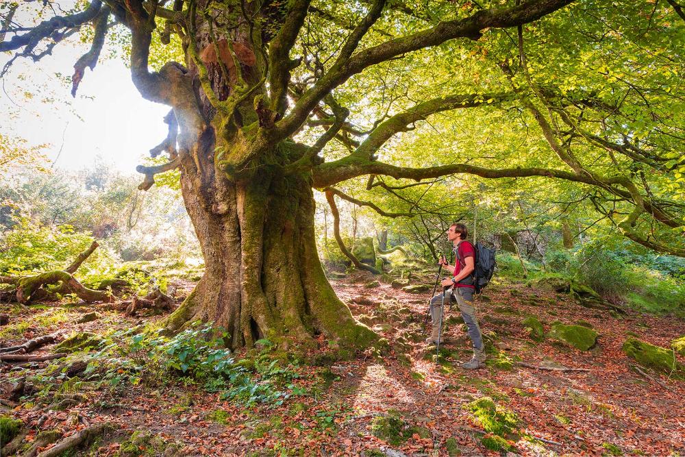 Image Hiking video in Asturias