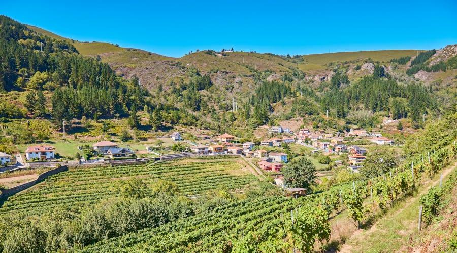 Una zona rurale con vigneti nelle Asturie occidentali