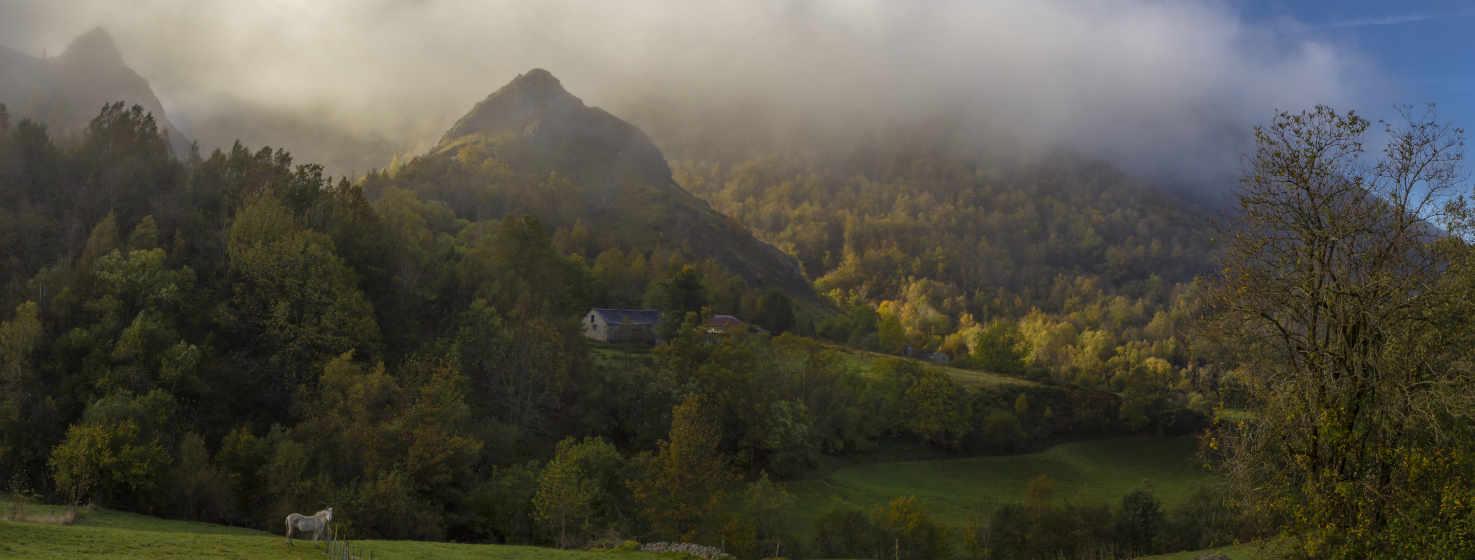 Fotografía de la zona de Chagüeños L.lagüeños. Una belleza paisajística, en primer plano unas praderías con un caballo blanco al fondo delante de un pequeño bosque. Encima unos picos se elevan hacia el cielo azul y algo de bruma que roza esas cumbres. Detrás más bosque con verdes distintos que se combinan con armonía