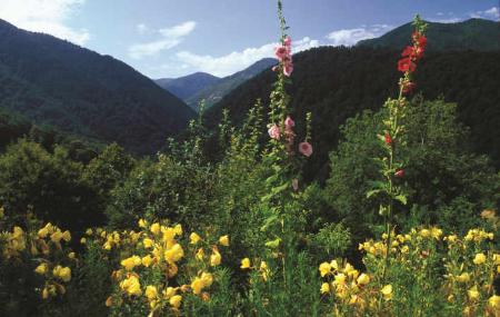 Vistas desde Rañadoiro