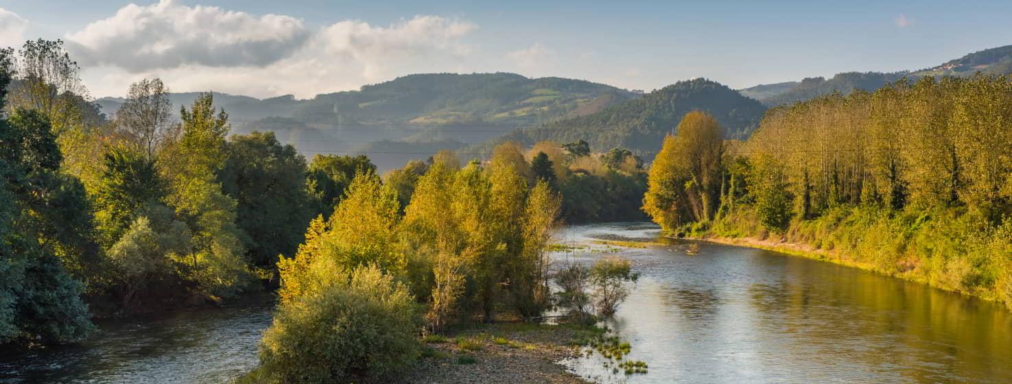 El río Nalón serpentea entre orillas arboladas con vegetación densa, reflejando los tonos verdes y dorados de los árboles. Al fondo se observan colinas cubiertas de prados y bosques bajo un cielo parcialmente nublado y luz suave de tarde.