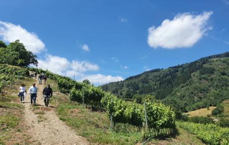 Siluvio Weinkellereien und Weinberge 2