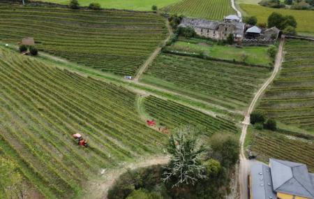 Siluvio Weinkellereien und Weinberge 5