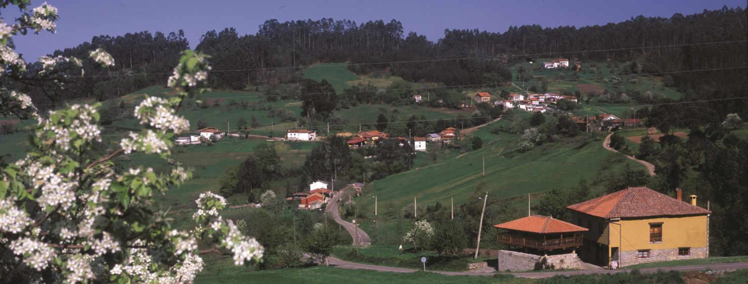 Fotografia di un villaggio di Illas su prati verdi con alcuni alberi di colore verde più scuro. Piccoli gruppi di case bianche con tetti rossi si arrampicano sulla collina sullo sfondo. Una piccola strada attraversa il villaggio.  In primo piano, sulla sinistra, un melo con fiori bianchi adorna l'immagine.