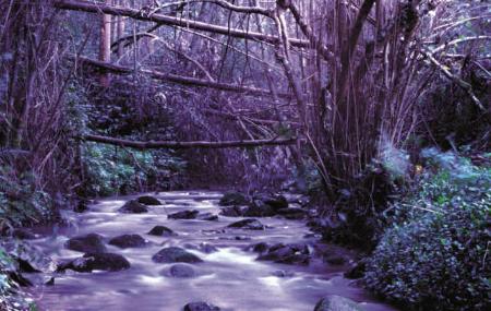 Río Pedralba. La Peral