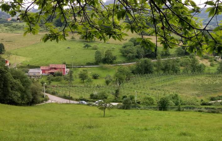 Vista de un paisaje rural con prados verdes, árboles dispersos y una plantación ordenada al fondo. En el centro se observa una casa de color rojo junto a un camino que atraviesa la zona, rodeada de vegetación y suaves colinas. En primer plano, ramas con hojas verdes enmarcan la imagen bajo luz natural difusa.