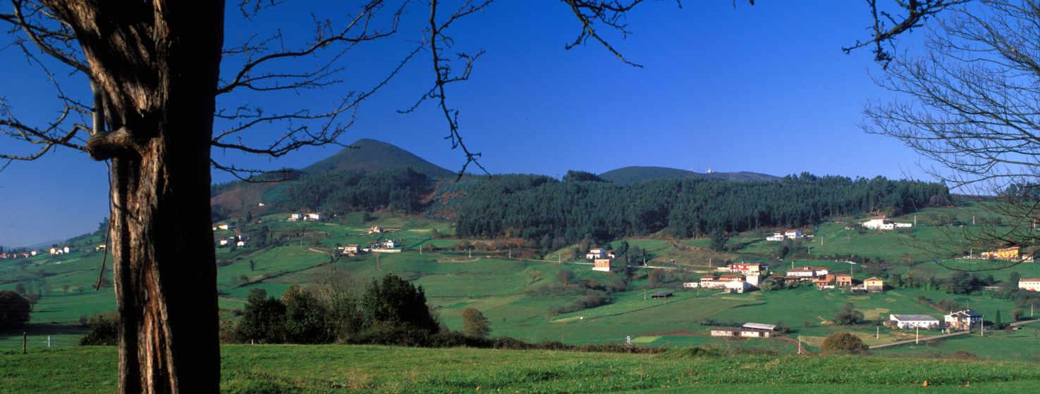 Image of an area of Llanera, green slopes with white houses dotted in the background, it is the parish of Arlós, in the foreground on the left a tree with leafless branches frames the image. In the background a gentle hill of trees closes the image with a deep blue sky.