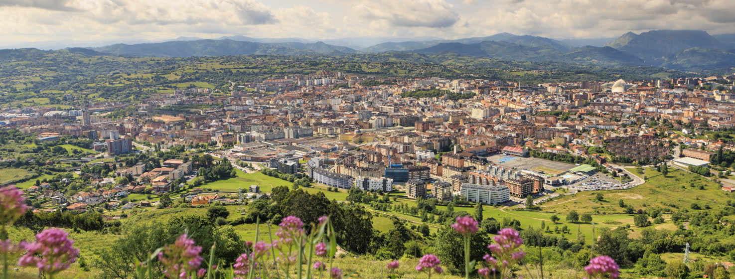 Foto von Oviedo von der Spitze des Monte Naranco aus, im Vordergrund einige rosa Blumen und unten eine grüne Wiese. Im Zentrum von Oviedo, einer kleinen sauberen Stadt mit roten Dächern. Im Hintergrund die Bergkette von Aramo in Blautönen mit einem grauen, wolkenverhangenen Himmel, der die Gipfel berührt.