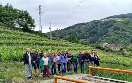 Imagen Cantine e vigneti Siluvio