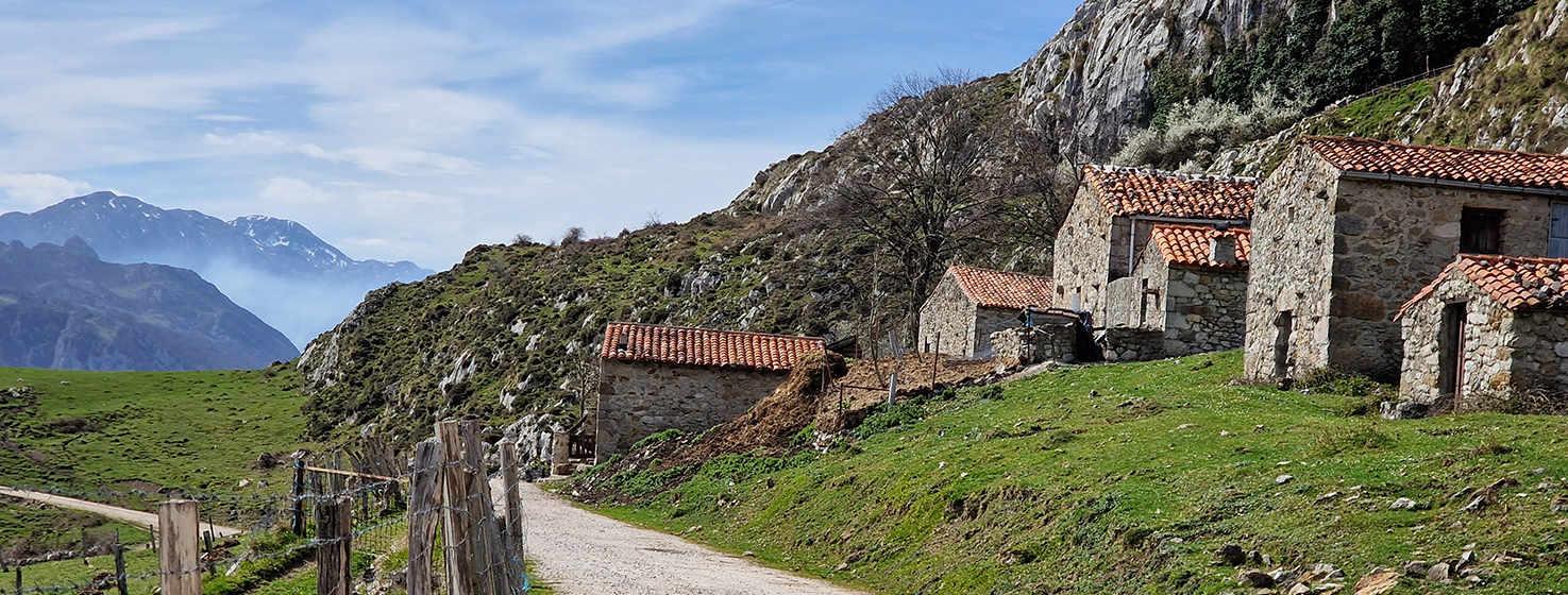 Landschaft in Peñamellera Alta, rechts einige Steinhütten mit roten Dächern am Hang eines Berges mit grünen Wiesen und Felsen in den höheren Bereichen. Vor den Hütten führt ein Weg vorbei und links trennt ein Holzzaun weitere Wiesen von der Straße. Im Hintergrund erheben sich große blaue Berge mit schneebedeckten Gipfeln.