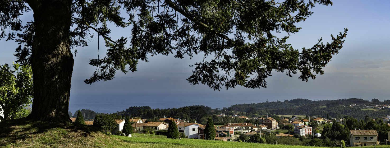 Vista de Somao desde lo alto de una colina que está en primer plano. Destaca a la izquierda un gran tejo cuyas ramas caen sobre el pueblo. Al fondo vista del mar. Tejados rojos y paredes blancas o granates en alguna casa destacan entre el verde de los árboles que rodean al pueblo.