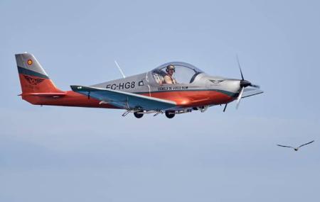 Avión ligero biplaza en vuelo recto, con fuselaje gris y naranja y piloto visible en cabina, acompañado por una ave que vuela a menor altura sobre cielo despejado.