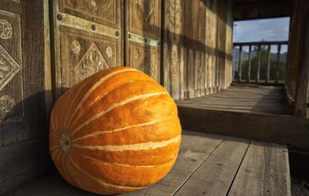 Calabaza. Museo del Hórreo. Bueño