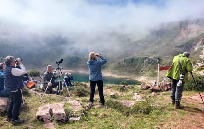 Aller à Image Observation de l'ours brun et de la faune cantabrique