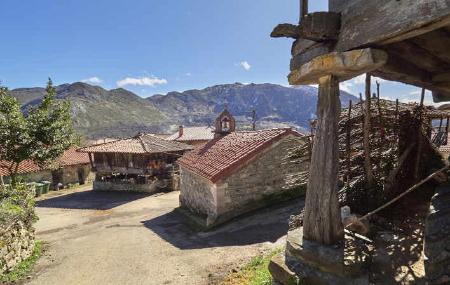 Fojo. Yernes y Tameza