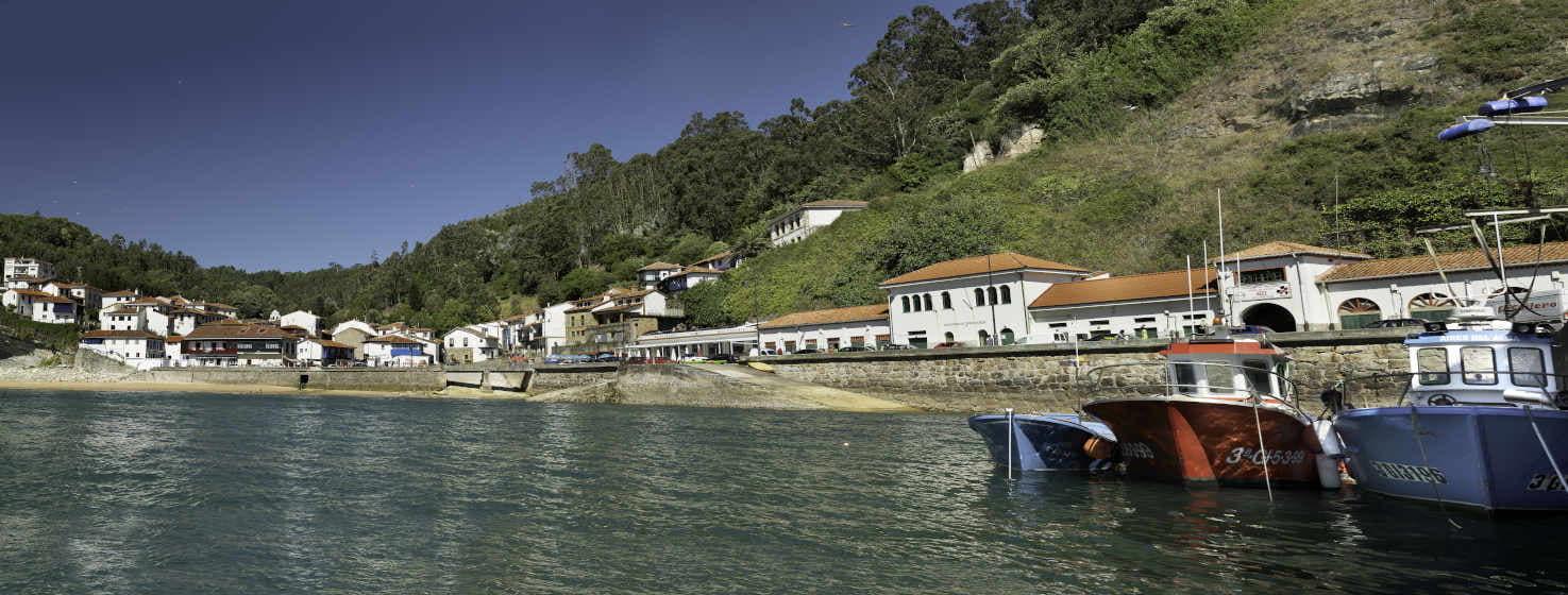 Panoramic view of the village of Tazones, seen from the sea. On the right, in the foreground, blue and red boats moored in the harbour, where the white building of the port harbour office is located.  In the background, the village with its small beach. The white, stone houses rise up on both sides of the green hillside with trees, mostly eucalyptus.